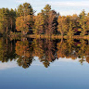 Meet your Posher, Debra